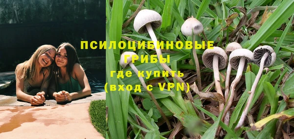 ALPHA PVP Белокуриха