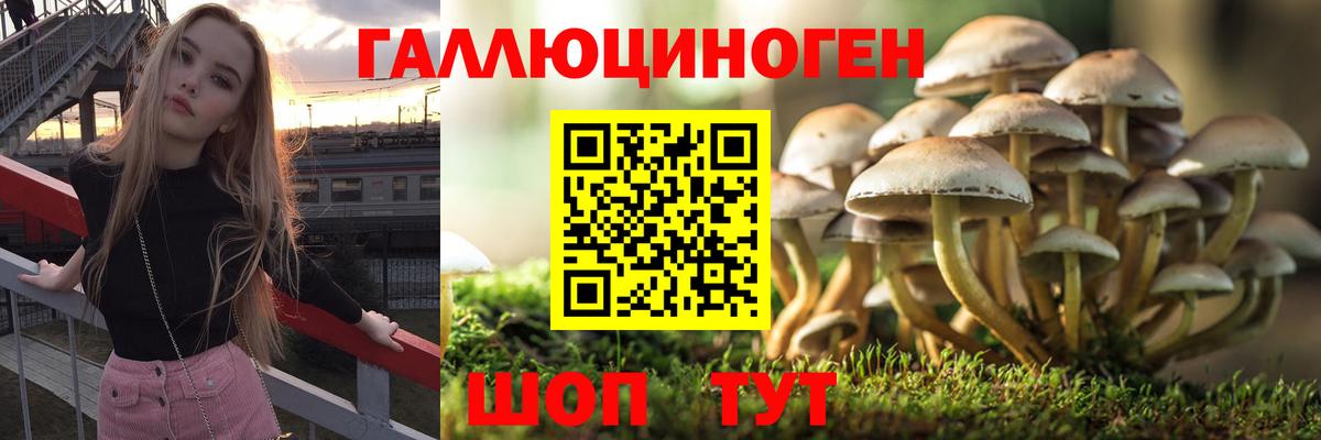 Псилоцибиновые грибы ЛСД Ногинск